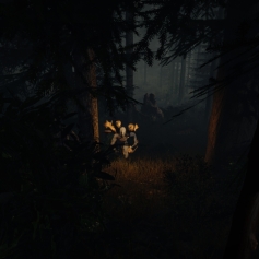 The Forest game screenshots 13